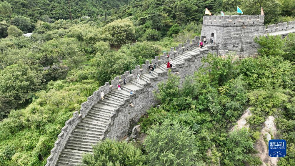 奔驰宝马单机